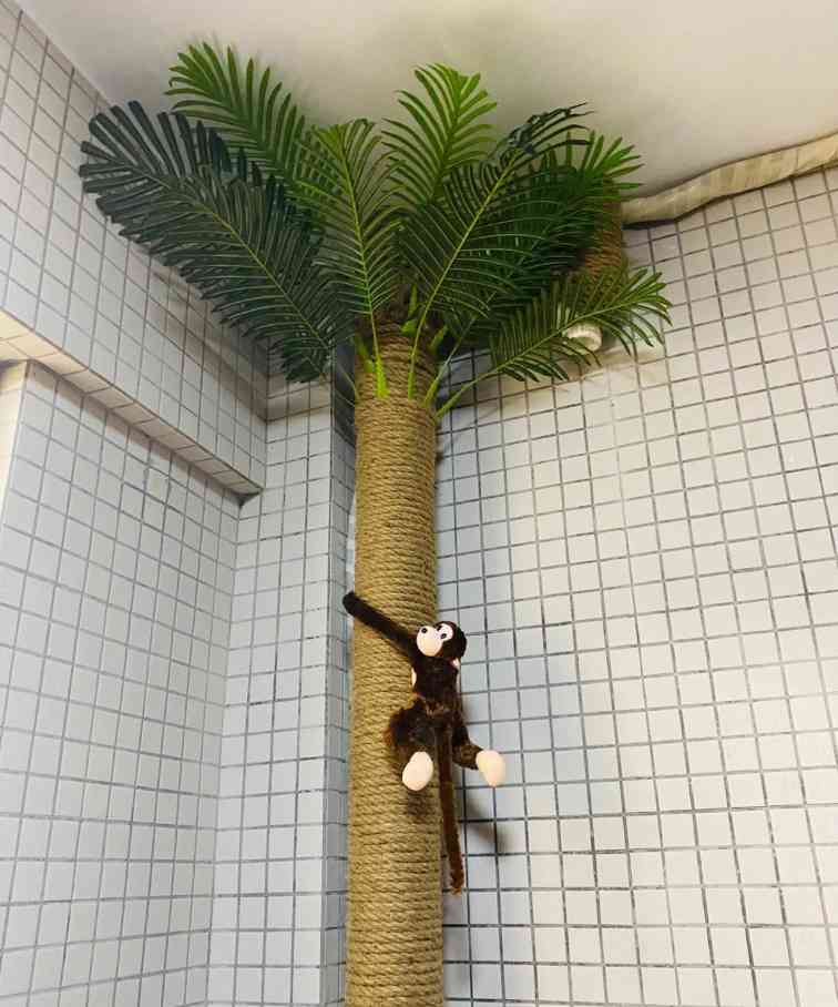 2个装修“遮丑”小技巧，简单便宜易操作