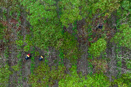 20241231_095024_003.png 20241231_095024_003.png