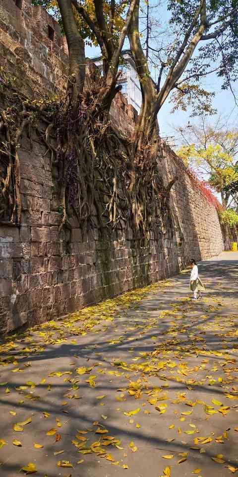 秘境之约—蜀地文旅叁城记(图6)