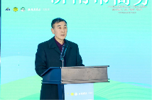 2024绿色环保装修进万家·齐鲁云上家装节走进银座家居北园店活动成功举办