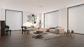 龙湖双珑原著(图1)