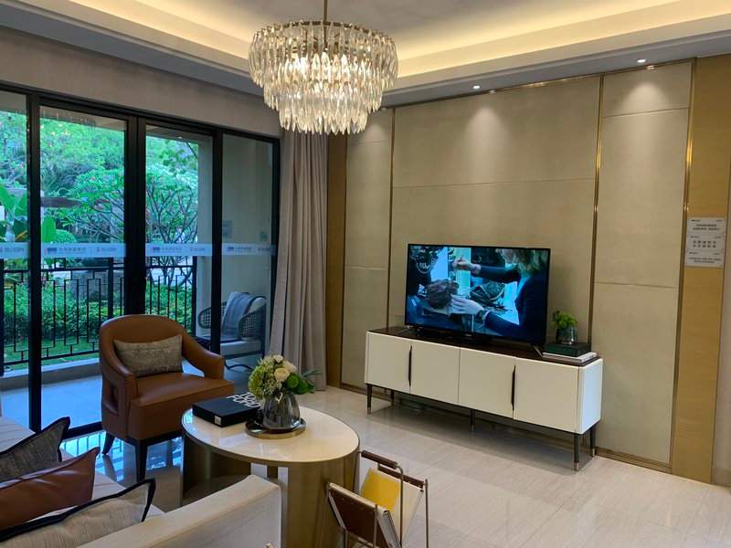 阳台养花的环境与植物选择指南