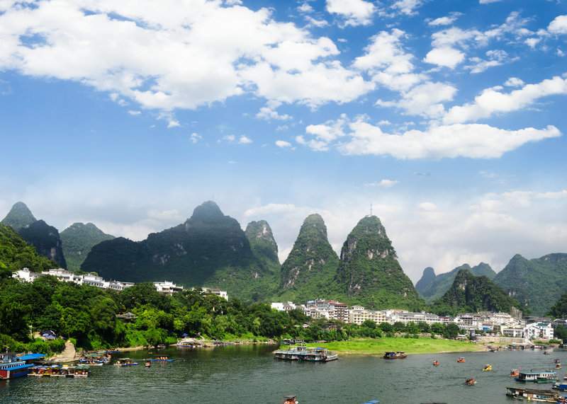 室内绿植摆放技巧与窍门