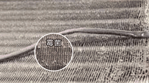 莫让“脏”空调成为你健康的隐形“杀手”(图3)