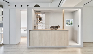 爱猫人士装修攻略：如何打造人猫共处的理想家？(图11)