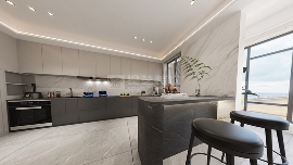 嘉隆云宸魏女士(图5)