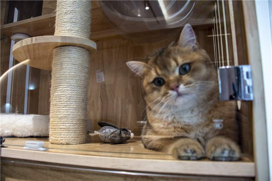 翡翠潮庭实景(图13)