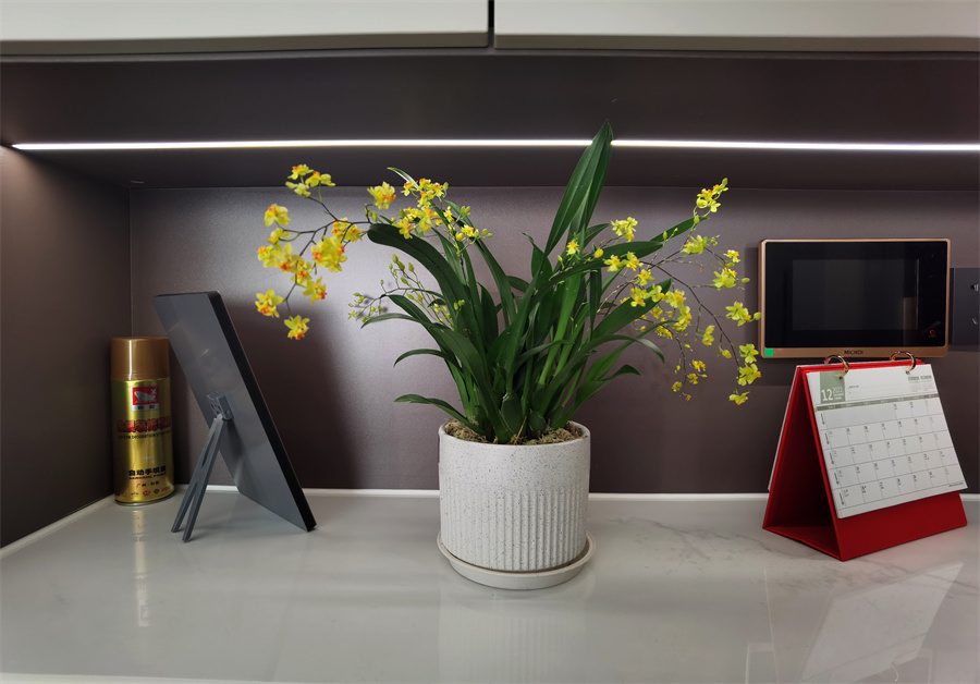 彰泰郡1-1-01户型-现代(图14)