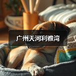 广州天河利雅湾（图2）