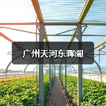 广州天河东晖阁(图2) 广州天河东晖阁(图2)