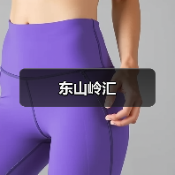 东山岭汇（图4）