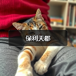 保利天郡（图2）