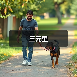 三元里（图3）
