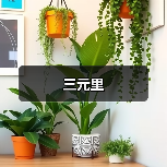 三元里（图4）