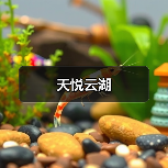 天悦云湖（图2）