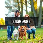 《翡翠绿洲》（图3）