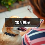 都会雅境（图4）