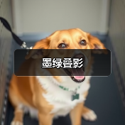 墨绿叠影（图2）