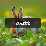 鎏光飨宴（图2）
