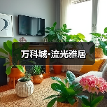 万科城·流光雅居（图2）