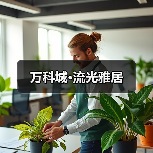 万科城·流光雅居（图3）