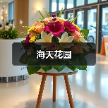 海天花园（图3）