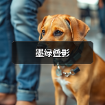 墨绿叠影（图4）