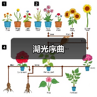 湖光序曲（图4）