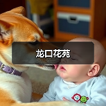 龙口花苑（图3）