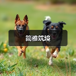 简雅筑境（图3）