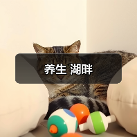 养生 湖畔（图2）
