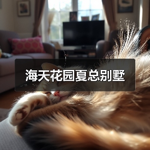 海天花园夏总别墅（图3）