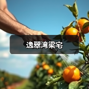 逸翠湾梁宅（图3）