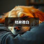 栖息雅白（图4）