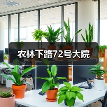 农林下路72号大院