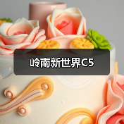 岭南新世界C5