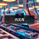 西关海（图2）