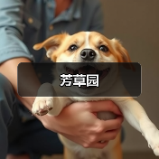 芳草园