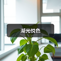 湖光悦色（图4）