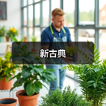新古典（图3）