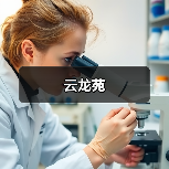 云龙苑(图4) 云龙苑(图4)
