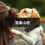 富春山居（图3）