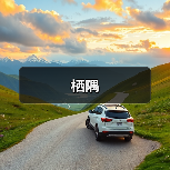 栖隅（图4）