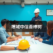 增城中信香樟树（图3）