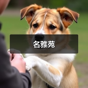 名雅苑（图2）