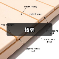 栖隅