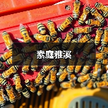 素庭雅溪(图2) 素庭雅溪(图2)