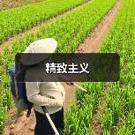 精致主义（图2）