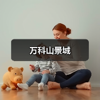 万科山景城