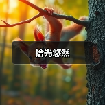 拾光悠然（图2）